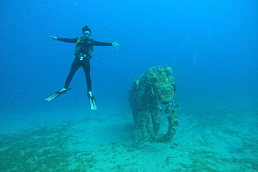 Дайвинг в Дахабе 